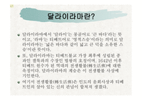 달라이라마-3