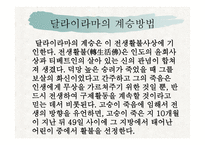 달라이라마-9