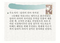 달라이라마-11