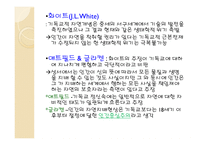 환경윤리란 무엇인가-4