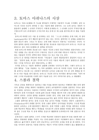 토마스 아퀴나스 -3