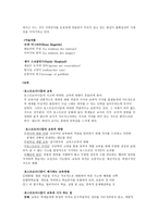모더니즘과 포스트모더니즘-5