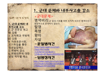 모병제 현실적 대안 찬성-11