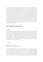 기능별 규율체제의 도입과 포괄주의 규율체 제로의 전환-7