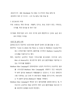 글로벌 촉진 전략의 이해-12