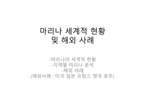 마리나의 세계적 현황과 해외사례-1