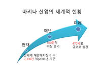 마리나의 세계적 현황과 해외사례-2