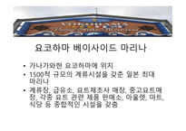 마리나의 세계적 현황과 해외사례-16