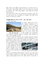 가야의 고고학-7