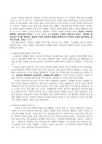 르네상스 이상 도시의 특징-2