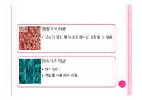겨울철의 불청객 식중독-12
