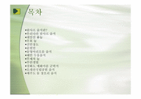 우리나라의 습지 람사르 등록-2