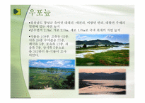 우리나라의 습지 람사르 등록-6