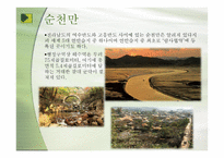 우리나라의 습지 람사르 등록-8
