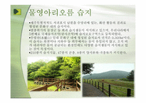 우리나라의 습지 람사르 등록-9
