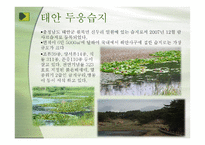 우리나라의 습지 람사르 등록-10