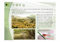 우리나라의 습지 람사르 등록-11