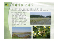 우리나라의 습지 람사르 등록-13