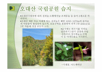 우리나라의 습지 람사르 등록-14