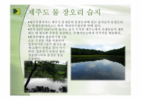 우리나라의 습지 람사르 등록-15