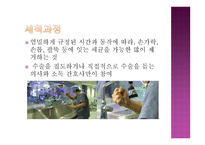 낯선 곳에서 나를 만나다 상징과 의례-10