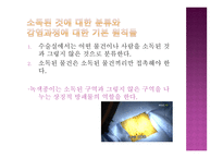 낯선 곳에서 나를 만나다 상징과 의례-15