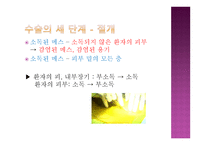 낯선 곳에서 나를 만나다 상징과 의례-19