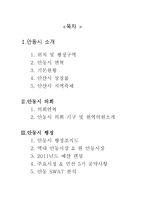 경상북도 안동시 탐구조사보고서-1
