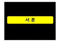 한국과 영국의 방범용 CCTV 설치 및 운영비교-3