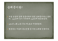 숭례문崇禮門을만나다-5