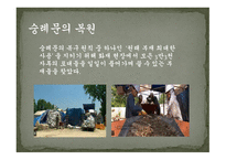 숭례문崇禮門을만나다-10