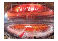 내가 생각하는 이상적인 올림픽-13