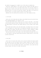 유아기의 인지발달-3