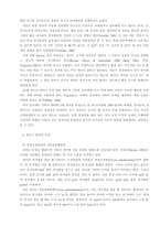 유아기의 인지발달-12