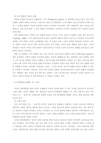 유아기의 인지발달-13