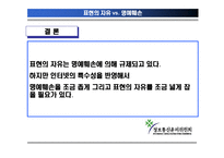 [언론법제론] 인터넷패러디-17