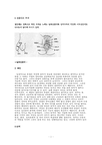 [성심리학] 성감대에 대해서-2