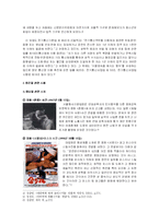 [언론법제론] 음란물과 표현의 자유 -사례를 중심으로-5