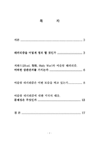 [중동정치] 이슬람 테러리즘-2
