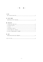 영상산업에 따른 관광산업 육성-2