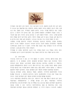 한국의 전통탈춤- 하회별신굿-19
