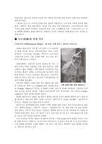 [공연예술] 발레(레포트)-8