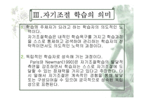 [교육학] 자기조절학습(Self-Regulated Learning)-8
