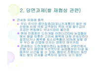 [경제학]한국농업정책 현황과 당면과제-13