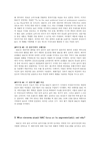 [경영] 색조브랜드 MAC의 표적시장과 요소-3