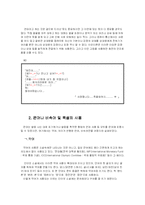 [한국어] 인터넷소설속에 나타나는 언어적 특징-4