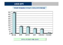 [마케팅] 노키아 한국시장진출전략-8