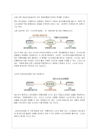 암웨이의 네트워크 마케팅(다단계 판매) 경영방식과 문제점 분석-8