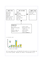 도요타 렉서스의 한국 시장진출 전략 분석-7