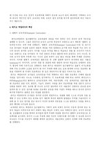 [유아교육]레지오에밀리아접근법-4